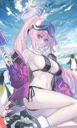  bikini bird black_bikini blue_archive breasts down_jacket echj eimi_(blue_archive) eimi_(swimsuit)_(blue_archive) goggles goggles_on_head halo highres holding holding_shovel jacket large_breasts long_hair off_shoulder official_alternate_costume open_clothes open_jacket out-of-season_outfit padded_jacket penguin pink_eyes pink_hair pink_halo pink_jacket ponytail scarf seiza shovel side-tie_bikini_bottom sideboob sitting ski_goggles swimsuit white_scarf winter_out-of-season_outfit 