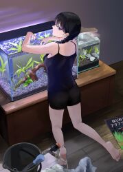  1girl absurdres bare_legs barefoot black_hair black_shorts black_tank_top braid breasts bucket closed_mouth feet fish fish_tank from_behind grey_eyes hands_up highres indoors kneeling legs looking_at_viewer looking_back mmmo3 original short_shorts shorts small_breasts soles solo table tank_top toes wooden_floor  rating:Sensitive score:7 user:danbooru