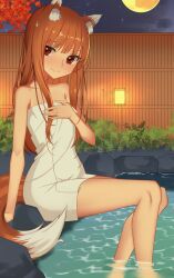  1girl absurdres animal_ear_fluff animal_ears arm_support autumn bare_arms bare_legs brown_hair bush caustics closed_mouth cmpx8522 collarbone full_moon hand_on_own_chest hand_up highres holo long_hair looking_at_viewer moon night night_sky onsen outdoors red_eyes rock sidelocks sitting sky smile soaking_feet solo spice_and_wolf star_(sky) starry_sky tail towel wall_lamp water white_towel wolf_ears wolf_girl wolf_tail 