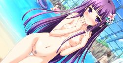  1girl cleft_of_venus clothed_male_nude_female exhibitionism nude nude_filter pubic_hair public_indecency purple_eyes purple_hair pussy third-party_edit  rating:Explicit score:47 user:ArkBlanc