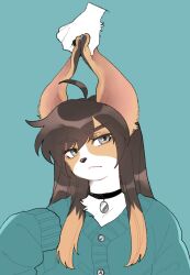 1girl :&lt; ahoge animal_ears beagle black_choker blue_background blue_sweater body_fur brown_fur brown_hair choker closed_mouth colored_tips disembodied_hand dog_ears dog_girl furry furry_female grabbing_another&#039;s_ear grey_eyes hand_on_another&#039;s_ear hand_up highres long_hair looking_at_viewer multicolored_hair original rata_(norahasu) simple_background sleeves_past_fingers sleeves_past_wrists sweater upper_body white_fur