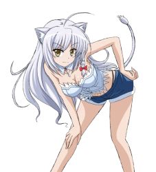  10s 1girl ahoge animal_ears bad_id bad_pixiv_id bare_legs braid breasts brown_eyes bustier cat_ears cat_tail cleavage dog_days hand_on_thigh ishida_seito leaning_forward legs leonmitchelli_galette_des_rois lingerie lion_ears lion_tail long_hair long_legs midriff short_shorts shorts smile solo tail thighs underwear vfenster whale_tail_(clothing) white_hair yellow_eyes 