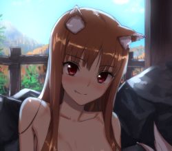  1girl animal_ears blush breasts brown_hair collarbone fang fang_out highres holo kawakami_rokkaku long_hair looking_at_viewer nude onsen red_eyes small_breasts smile solo spice_and_wolf tail wolf_ears wolf_tail  rating:Questionable score:73 user:danbooru