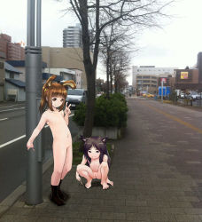 2girls animal_ears barefoot brown_eyes brown_hair building bush cat_ears cleft_of_venus collarbone feet flat_chest full_body gekkou_(geccomajin) grass holding loli long_hair looking_at_viewer multiple_girls navel nude original outdoors photo_background plant public_indecency public_nudity pussy rabbit_ears road sidewalk sky socks squatting standing toyota toyota_hiace tree uncensored v rating:Explicit score:103 user:Domestic_Importer