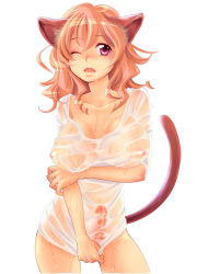  1futa animal_ears artist_request blush breasts bulge cat_ears cat_tail futanari large_breasts nipples penis pink_eyes red_hair see-through solo sweat tail uncensored wet  rating:Explicit score:98 user:Love_Sack