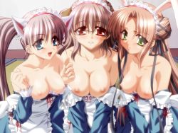  2x4 3girls animal_ears araiguma blush breasts futaba_hiromi game_cg multiple_girls niimi_haruka niki_sarasa 
