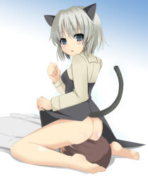 00s 1girl animal_ears ass barefoot blue_eyes blush bottomless cat_ears cat_tail clothes_lift dress dress_lift hetero looking_back no_panties sanya_v._litvyak short_hair silver_hair sitting sitting_on_face sitting_on_person solo_focus strike_witches tail world_witches_series yoshida_(rodeo) rating:Questionable score:35 user:danbooru