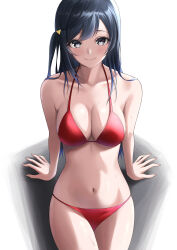  1girl absurdres bare_shoulders bikini black_hair blush breasts cleavage closed_mouth collarbone grey_eyes hair_ornament highres large_breasts long_hair looking_at_viewer love_live! love_live!_nijigasaki_high_school_idol_club navel one_side_up red_bikini sitting smile solo stomach swimsuit ta_02ss wet yuki_setsuna_(love_live!) 
