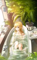 1girl absurdres alicia_leonora artist_name bath bathroom bathtub blonde_hair hair_ornament highres indoors knees_up long_hair looking_at_viewer nude original plant potted_plant self-upload solo sunlight water window yellow_eyes rating:Sensitive score:1 user:AliciaLeonora