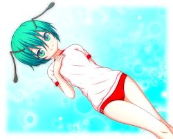  1girl alternate_costume antennae blush breasts buruma closed_mouth commentary_request dutch_angle feet_out_of_frame green_eyes green_hair gym_uniform hair_between_eyes hand_on_own_chest looking_at_viewer mofupaka red_buruma shirt short_hair short_sleeves small_breasts smile solo touhou white_shirt wriggle_nightbug 