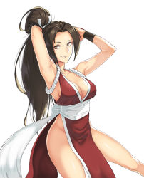  1girl breasts fatal_fury highres large_breasts ponytail shiranui_mai smile solo  rating:Questionable score:11 user:jojosstand