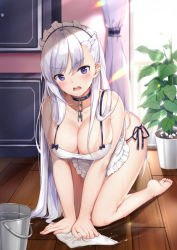  1girl all_fours apron azur_lane belfast_(azur_lane) black_panties blush breasts bucket choker cleaning cleavage collarbone douya_(233) kneeling large_breasts light_rays long_hair looking_at_viewer naked_apron open_mouth panties plant potted_plant purple_eyes solo sunbeam sunlight underwear v-shaped_eyebrows very_long_hair wet white_hair wooden_floor  rating:Questionable score:44 user:danbooru