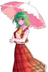  1girl alphes_(style) ascot bad_id bad_pixiv_id breasts dairi female_focus green_hair holding kazami_yuuka long_sleeves looking_at_viewer medium_breasts open_clothes open_vest parody red_eyes shadow shirt short_hair skirt solo style_parody touhou transparent_background umbrella vest  rating:Sensitive score:9 user:danbooru