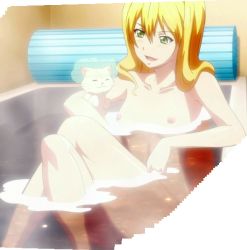 1girl animal bath bathtub blonde_hair blush breasts cat collarbone green_eyes hair_between_eyes hair_down highres himegami_kodama indoors legs long_hair maken-ki! nipples nude open_mouth partially_submerged screencap sitting small_breasts smile solo steam stitched takami_akio third-party_edit water rating:Questionable score:55 user:arutos