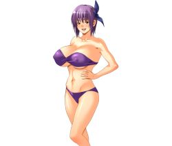1girl ayane_(doa) bikini breasts dead_or_alive g_kilo-byte large_breasts purple_hair saberfish simple_background smile solo swimsuit tecmo rating:Questionable score:19 user:jojosstand