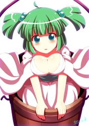  1girl alternate_breast_size aura bad_id bad_pixiv_id blue_eyes blush breasts bucket cleavage collarbone green_hair hair_bobbles hair_ornament in_bucket in_container japanese_clothes kimono kisaragi_zwei kisume large_breasts looking_at_viewer aged_up revision sash solo touhou twintails v_arms wide_sleeves wooden_bucket yukata  rating:Sensitive score:10 user:danbooru