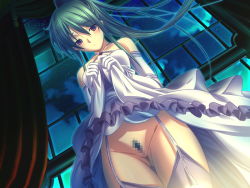 1girl ass atelier_kaguya blush censored clothes_lift detached_sleeves dress dress_lift dungeon_crusaderz dungeon_crusaderz_2 dungeon_crusaderz_2_eternal_paradise evening_gown female_pubic_hair formal game_cg garter_straps green_hair hip_focus long_hair m&amp;m mosaic_censoring night no_panties pubic_hair purple_eyes pussy solo thighhighs window rating:Explicit score:17 user:danbooru