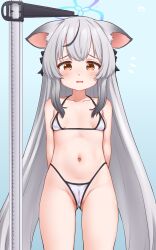  1girl absurdres animal_ears arms_behind_back bare_arms bare_legs bare_shoulders bikini black_hair blue_archive blue_halo blush breasts cameltoe cleft_of_venus collarbone cowboy_shot djloops grey_hair halo highres kokona_(blue_archive) loli long_hair looking_at_viewer multicolored_hair navel open_mouth orange_eyes small_breasts solo streaked_hair swimsuit tiger_ears white_bikini  rating:Questionable score:47 user:danbooru