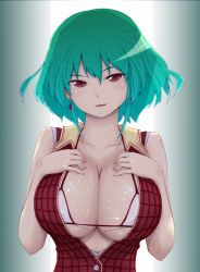 1girl bad_id bad_pixiv_id bikini bikini_top_only breasts cleavage female_focus green_hair gustav_(telomere_na) hands_on_own_chest huge_breasts kazami_yuuka large_breasts naughty_face open_clothes open_shirt plaid plaid_vest red_eyes shiny_skin shirt smile solo swimsuit touhou vest rating:Questionable score:23 user:danbooru