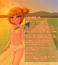 1girl blush brown_hair casual_nudity cleft_of_venus unworn_clothes collarbone commission female_focus flat_chest grass highres holding holding_clothes horizon japanese_text loli looking_at_viewer mahorama18 mountainous_horizon navel net nipples nude original outdoors pussy shadow short_hair side_ponytail sky solo standing tan tanline tomboy translation_request walking wavy_mouth  rating:Explicit score:56 user:Katsot