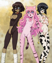  animal_ears artist_request blue_eyes breasts collar flat_chest furry henrietta_de_tristain highres loli louise_francoise_le_blanc_de_la_valliere extra_breasts nipples nude photoshop pink_hair pussy siesta smile tail transformation zero_no_tsukaima  rating:Questionable score:96 user:asdfgh123