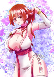  1girl breasts dead_or_alive highres kasumi_(doa) large_breasts long_hair solo 