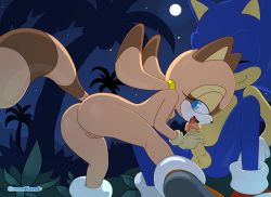 anus ass fellatio furry greenhand marine_the_raccoon open_mouth oral pussy sitting sonic_(series) sonic_(series) spread_legs tail tongue rating:Explicit score:13 user:Nigs