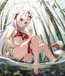  1girl :p absurdres bamboo bare_legs barefoot bell bikini bird breasts full_body hair_bun highres holding hololive horns jingle_bell kitabana long_hair looking_at_viewer mask mask_on_head medium_breasts multicolored_hair nakiri_ayame outdoors red_bikini red_eyes red_hair revision silver_hair single_hair_bun sitting skin-covered_horns soaking_feet solo streaked_hair swimsuit thighs tongue tongue_out very_long_hair virtual_youtuber water  rating:Sensitive score:20 user:danbooru