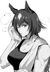  1girl absurdres animal_ears bojue_(hakus_1128) breasts cleavage greyscale hand_up highres holding holding_towel horse_ears horse_girl large_breasts long_hair looking_at_viewer monochrome multicolored_hair one_eye_closed parted_lips sirius_symboli_(umamusume) solo sports_bra steaming_body streaked_hair sweat toned towel umamusume upper_body v-shaped_eyebrows wiping_sweat 