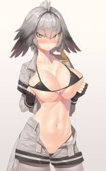 10s 1girl alternate_breast_size bikini bikini_under_clothes bird_tail black_bikini black_gloves black_hair blush bodystocking breast_lift breasts clenched_hands collared_shirt cowboy_shot fingerless_gloves gloves gradient_background green_eyes grey_hair grey_pantyhose grey_shirt grey_shorts highres kemono_friends large_breasts long_hair looking_at_viewer low_ponytail micro_bikini multicolored_hair mx2j navel nose_blush open_clothes open_shirt open_shorts pantyhose shirt shoebill_(kemono_friends) short_sleeves shorts side_ponytail simple_background skindentation solo standing stomach swimsuit tail unzipped wing_collar rating:Questionable score:69 user:danbooru