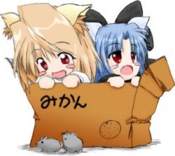  00s 2girls animal_ears arcueid_brunestud bow box cardboard_box for_adoption in_box in_container len_(tsukihime) lowres mikan_box mouse_(animal) multiple_girls sweater tsukihime  rating:Sensitive score:8 user:danbooru