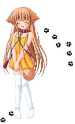 1girl animal_ears blush collar dog_ears dog_tail dress closed_eyes leash light_brown_hair long_hair nanami_to_konomi_no_oshiete_abc nishimura_nanami own_hands_clasped own_hands_together panties sin-go smile solo source_request tail thighhighs underwear white_panties white_thighhighs zettai_ryouiki rating:Sensitive score:7 user:danbooru