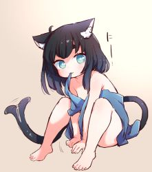 1girl animal_ear_fluff animal_ears babalilo barefoot black_hair blue_dress blue_eyes blush cat_ears cat_tail dress feet female_focus full_body knees_up loli looking_at_viewer mouth_hold off_shoulder original short_hair simple_background sitting smile solo tail tail_wagging thighs toes rating:Questionable score:42 user:danbooru