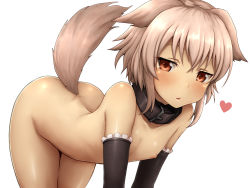  1girl all_fours animal_ears arched_back blush brown_eyes buckle collar detached_sleeves dog_ears dog_girl dog_tail flat_chest frilled_sleeves frills grey_hair heart loli looking_at_viewer negija nipples nude open_mouth original parted_lips pet_play petite short_hair_with_long_locks sidelocks simple_background solo tail white_background  rating:Questionable score:28 user:danbooru
