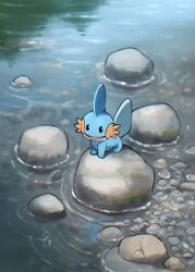  blue_skin colored_skin creatures_(company) dorobo_93 fins game_freak gen_3_pokemon head_fins highres mudkip nintendo no_humans on_rock open_mouth pokemon pokemon_(creature) ripples rock sitting sitting_on_rock solid_oval_eyes tail water 