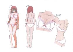  1girl absurdres bare_legs barefoot bra breasts brown_hair character_sheet close-up curvy female_focus full_body glasses green_eyes highres ikkitousen ikkitousen_great_guardians large_breasts long_hair looking_at_viewer multiple_views navel official_art panties ryuubi_gentoku shiny_skin solo underwear underwear_only very_long_hair white_background white_bra white_panties wide_hips 