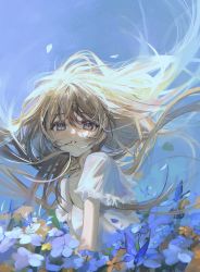 1girl absurdres blue_eyes blue_flower blue_sky brown_hair bug butterfly collarbone dress floating_hair flower frills highres insect long_hair looking_at_viewer orange_flower parted_lips petals sky sushineko8 white_dress rating:General score:2 user:a-human