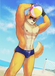  1boy abs animal_ears armpits arms_up bara beach beach_volleyball black_gloves blue_male_swimwear blue_sky blush commentary cooper_krager english_commentary fingerless_gloves furry furry_male gloves goromokaa highres looking_at_viewer male_focus male_swimwear multiple_scars muscular muscular_male navel nipples ocean open_mouth pectorals remember_the_flowers scar scar_across_eye scar_on_arm scar_on_face scar_on_nose sky tail topless_male volleyball_net wolf_boy wolf_ears wolf_tail 