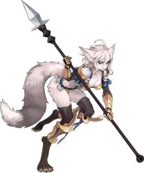  armor bikini_armor blue_eyes dinah_(unicorn_overlord) furry polearm revealing_clothes spear tail transparent_background unicorn_overlord weapon  rating:Questionable score:22 user:Nuttebuster
