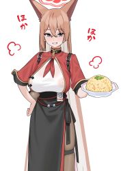  1girl absurdres animal_ears black_pantyhose black_skirt blue_archive blush breasts brown_hair colored_inner_hair covered_erect_nipples cowboy_shot extra_ears fffukuzawa food fried_rice grin hair_between_eyes halo highres holding holding_plate large_breasts long_hair looking_at_viewer multicolored_hair pantyhose plate purple_eyes red_halo rumi_(blue_archive) shirt simple_background skirt smile solo wet wet_clothes wet_shirt white_background white_shirt 