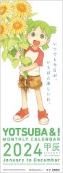  1girl :d artist_name azuma_kiyohiko barcode brown_shorts commentary copyright_notice cover cover_page flower full_body green_eyes green_hair highres holding holding_flower koiwai_yotsuba looking_at_viewer official_art open_mouth promotional_art quad_tails raglan_sleeves red_footwear red_shirt roots shirt shoes short_sleeves shorts smile sneakers solo sunflower t-shirt translated two-tone_shirt white_shirt yellow_flower yotsubato! 