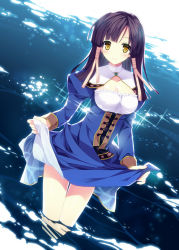  1girl akisoba atelier_(series) atelier_lilie atelier_lilie_another_story breasts cleavage clothes_lift dress dress_lift female_focus hair_tubes lilie_(atelier) purple_hair solo water yellow_eyes  rating:Sensitive score:20 user:danbooru