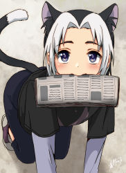  1boy all_fours animal_ears blue_eyes blush cat_boy cat_ears highres kawara_bee looking_at_viewer male_focus mouth_hold multicolored_hair newspaper oginy solo tail two-tone_hair uchi_no_tama_shirimasen_ka? white_hair 