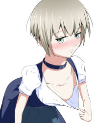 10s 1girl artist_request blue_eyes blush breasts clothes_pull dirndl downblouse german_clothes kadokawa_shoten kantai_collection leaning_forward loli nipples no_bra simple_background small_breasts smile solo white_background white_hair z1_leberecht_maass_(kancolle) rating:Questionable score:14 user:danbooru