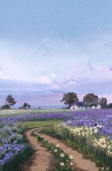  absurdres commentary dated english_commentary field flower flower_field highres house lavender lilblueorchid no_humans original outdoors purple_flower sky star_(sky) starry_sky tree white_flower 