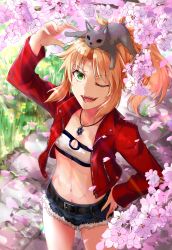  1girl bandeau belt blue_shorts braid breasts cat cherry_blossoms collarbone cutoffs denim denim_shorts fate/apocrypha fate_(series) flower french_braid green_eyes highres jacket long_hair long_sleeves mordred_(fate) mordred_(fate/apocrypha) mordred_(memories_at_trifas)_(fate) navel on_head one_eye_closed open_clothes open_jacket open_mouth parted_bangs ponytail red_jacket short_shorts shorts shuugetsu_rao sidelocks small_breasts smile thighs  rating:Sensitive score:11 user:danbooru