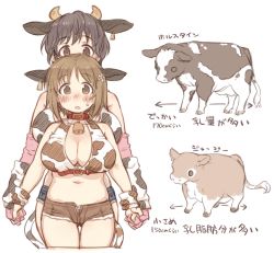 10s 2girls 7010 animal_ears animal_print bell blush breasts brown_eyes brown_hair collar cow cow_ears cow_girl cow_horns cow_print cow_tail female_focus holding_hands horns idolmaster idolmaster_cinderella_girls large_breasts midriff mimura_kanako multiple_girls oikawa_shizuku short_hair short_shorts shorts tail white_background rating:Questionable score:48 user:danbooru