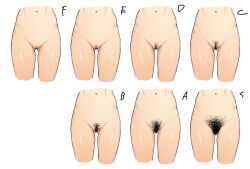 absurdres character_sheet female_focus female_pubic_hair groin highres itsuki_nofuji multiple_views navel original pubic_hair pussy simple_background thighs white_background 