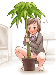 1girl barefoot blush brown_eyes brown_hair cleft_of_venus flower gouchin_(nyou-tou) grey_jacket grey_skirt jacket long_sleeves no_panties open_mouth pee peeing plant pussy shirt short_hair skirt solo squatting suit_jacket uncensored white_shirt rating:Explicit score:70 user:cpee