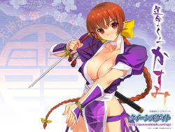 1girl braid breasts brown_hair cleavage dead_or_alive highres kasumi_(doa) large_breasts long_hair pelvic_curtain queen&#039;s_blade queen&#039;s_gate red_eyes sanbasou solo tecmo rating:Sensitive score:32 user:danbooru